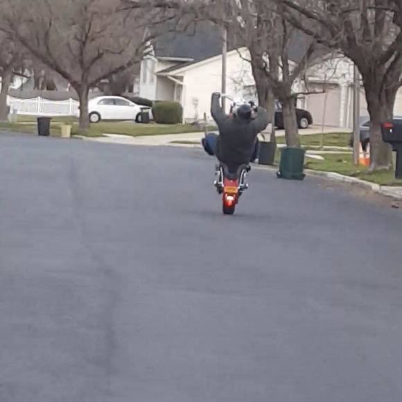 Meet your Posher, Kyle bikelife - Picture 1 of 1